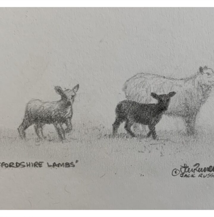 Russell, Jack MBE (1963 – ) Staffordshire Lambs