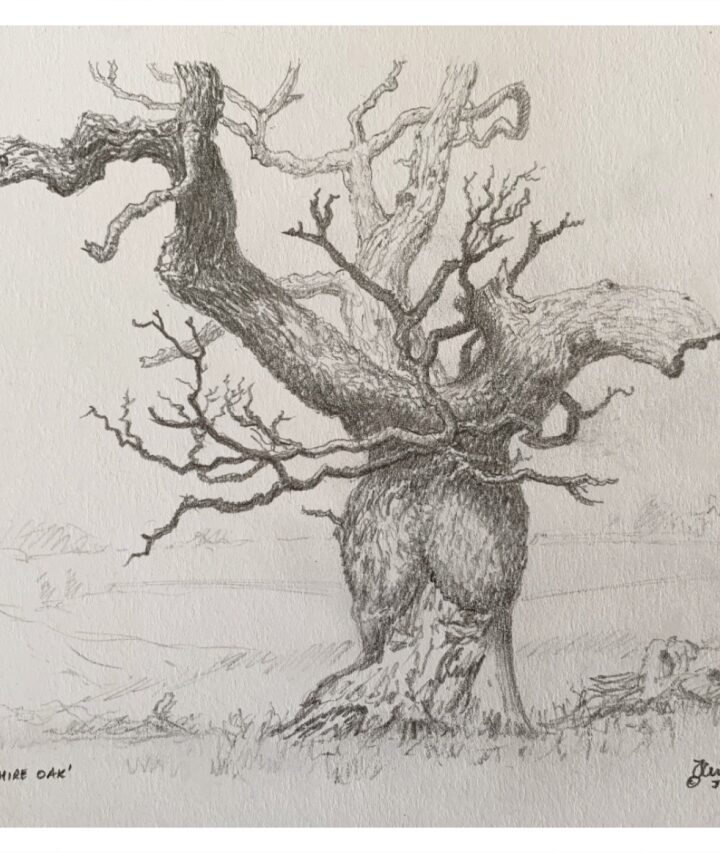 Russell, Jack MBE (1963 – ) Staffordshire Oak