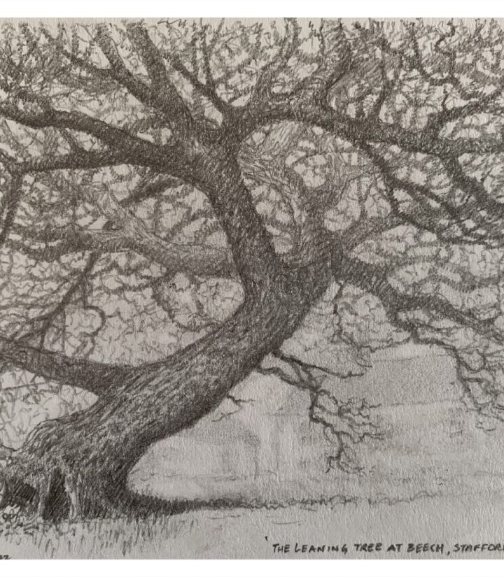 Russell, Jack MBE (1963 – ) The Leaning Tree at Beech, Stafforshire